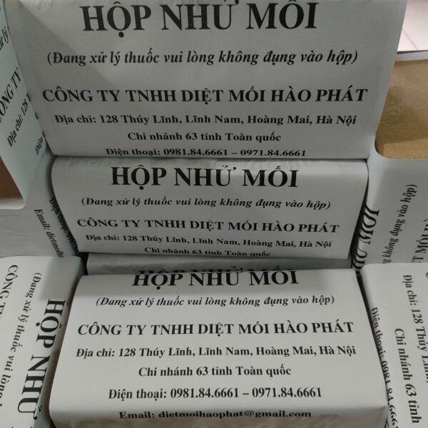 Hộp Nhử Mối Hào Phát